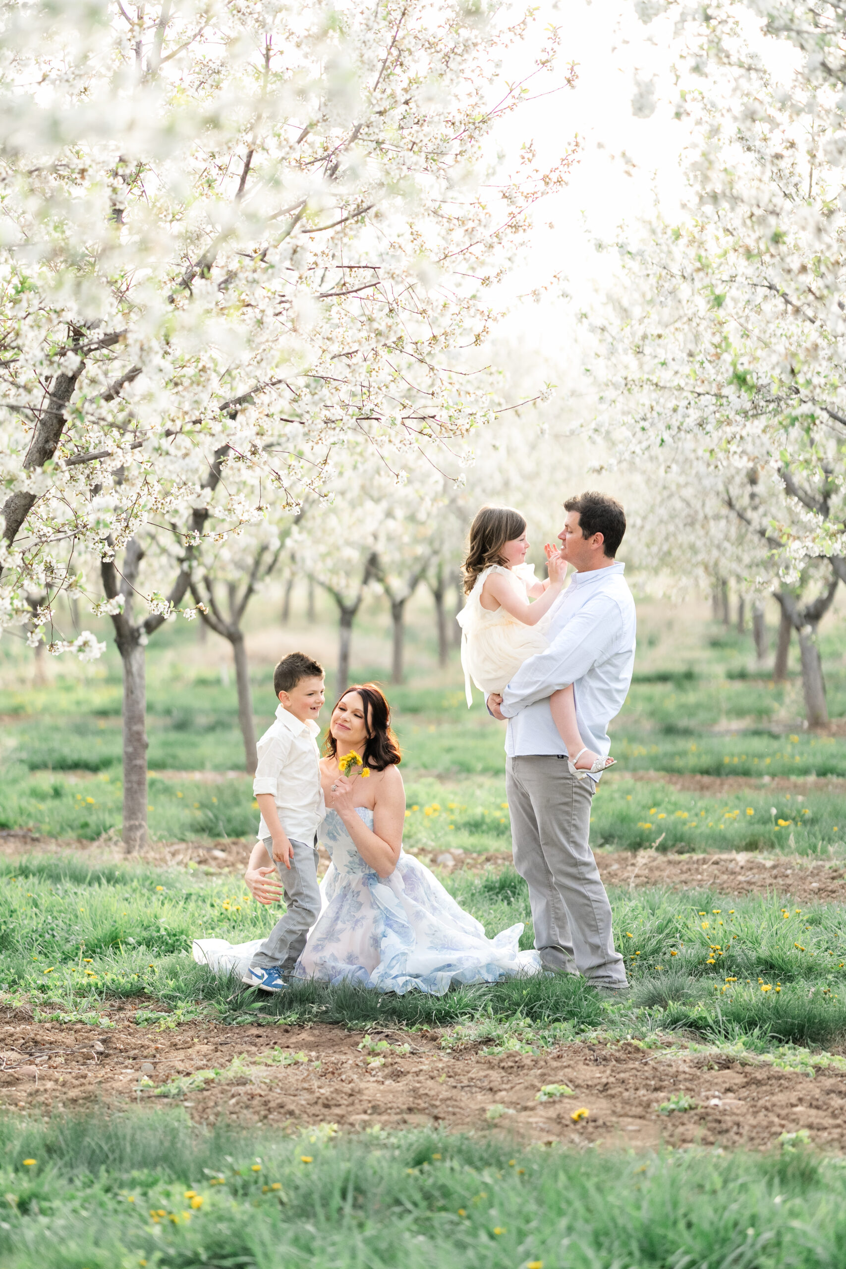 A young family of four standing in a blooming cherry blossom orchard in Utah County. The father kisses the mother on the forehead as their two children look up at them. The mother wears a strapless blue floral gown from the photographer’s client closet. The scene is bright, soft, and springtime inspired.